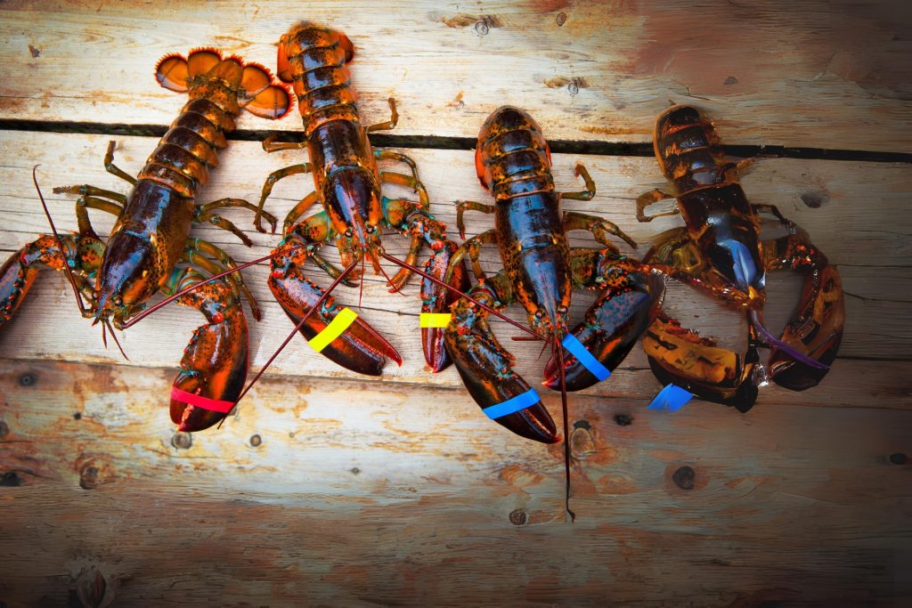 fresh seafood